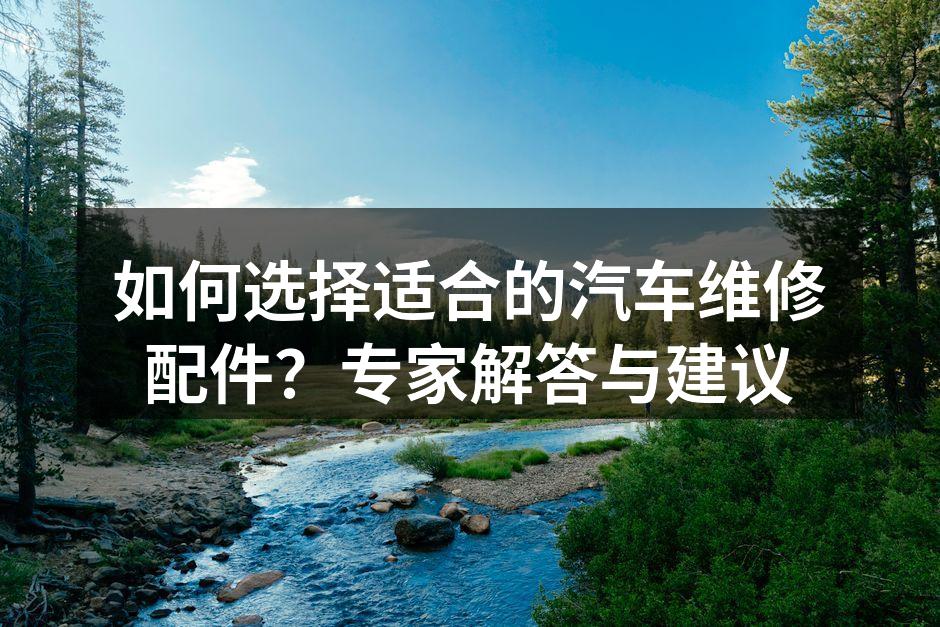 专业汽车配件展示