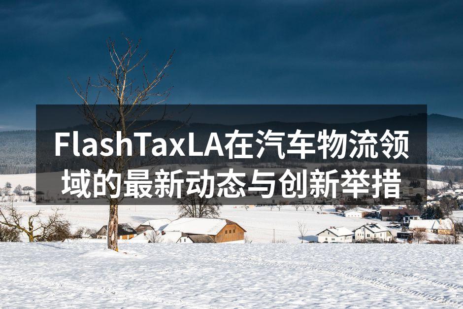 FlashTaxLA智能化运输系统示意图