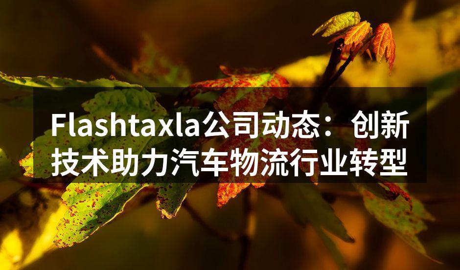 Flashtaxla团队在进行技术培训
