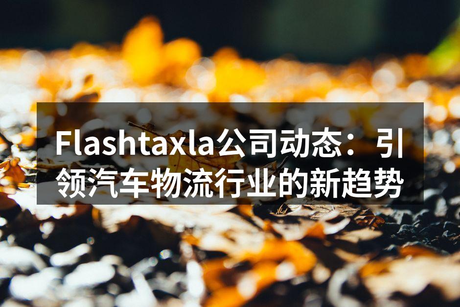 Flashtaxla全新电动货车，助力绿色物流